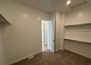 Walk in closet with carpet flooring