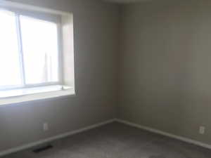 Unfurnished room with carpet