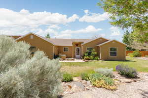 Ranch-style house with a front lawn