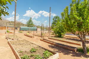 Surrounding community featuring a storage shed