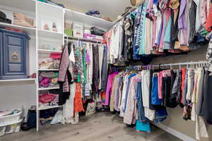 Spacious closet with light hardwood / wood-style flooring