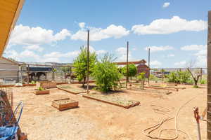 View of jungle gym