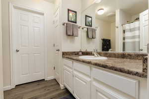 Bathroom with vanity and wood-type flooring