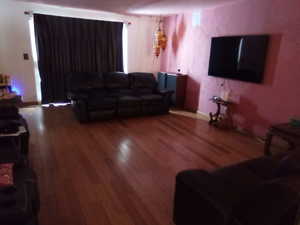 Living room featuring wood-type flooring