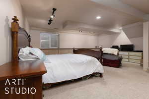 Carpeted bedroom featuring rail lighting