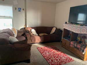 Living room with carpet floors