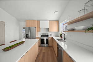 Kitchen featuring dark wood-type flooring, stainless steel appliances, and sink