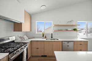 Kitchen featuring vaulted ceiling, appliances with stainless steel finishes, sink, hardwood / wood-style flooring, and light brown cabinets