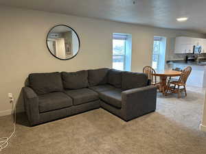 Living room with light colored carpet and a textured ceiling