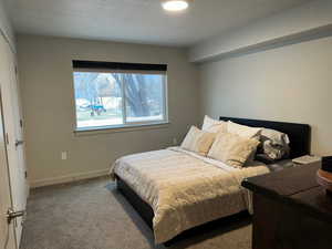 Bedroom with carpet floors