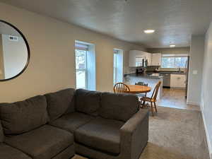 Living room featuring light hardwood / wood-style floors, sink, and a textured ceiling