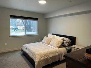 Bedroom with carpet floors