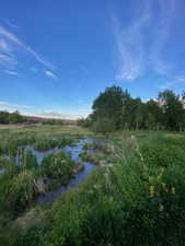 View of nature