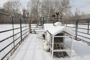 Snow Covered Chicken Houses