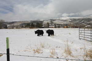 Snowy Landscape featuring a mountain view and a rural view