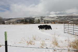 Snowy yard featuring a mountain view and a rural view