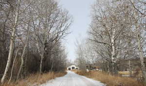 Snowy landscape with Private Drive That Wraps Around