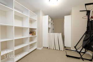 Walk in closet featuring radiator and light colored carpet