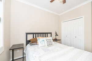 Bedroom featuring crown molding, ceiling fan, and a closet