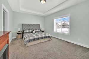 Carpeted bedroom with a raised ceiling