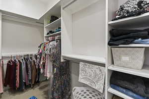 Walk in closet featuring carpet