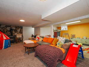 Living room featuring carpet floors and a wood stove