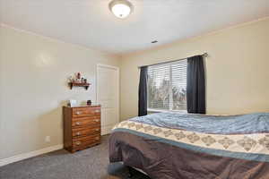 Bedroom featuring carpet