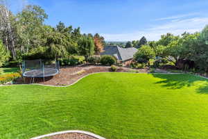 View of grassy yard with a trampoline and view of wooded area