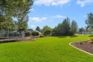 View of yard with a trampoline
