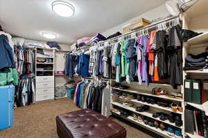 Spacious closet with carpet flooring