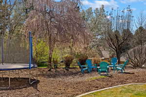 NEW BACKYARD INSTALLED including sprinkler system, curbing and sod!