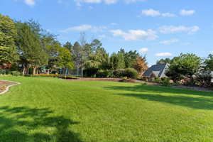 View of green lawn featuring view of scattered trees