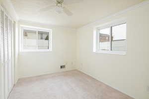 Basement bedroom featuring ornamental molding, ceiling fan, and a textured ceiling