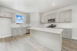 Kitchen with sink, gray cabinets, stainless steel appliances, and a center island