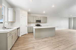 Kitchen with sink, gray cabinetry, a center island, light wood-type flooring, and appliances with stainless steel finishes