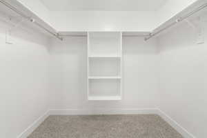 Walk in closet with carpet