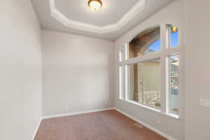 Spare room with crown molding, a tray ceiling, plenty of natural light, and carpet flooring