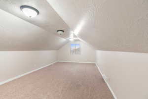 Additional living space with lofted ceiling, a textured ceiling, and carpet