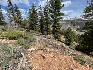 View of local wilderness