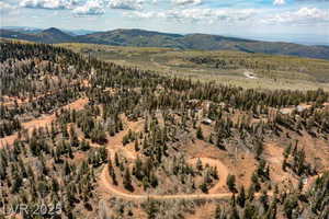 Drone / aerial view featuring a mountain view