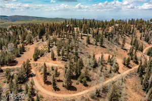 Bird's eye view with a mountain view