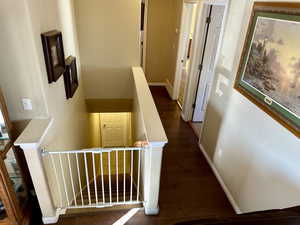 Hallway featuring dark hardwood / wood-style floors