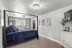 Carpeted bedroom with a spacious closet and a textured ceiling