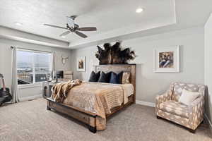 Bedroom with a tray ceiling, carpet floors, and a textured ceiling