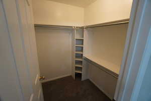 Spacious closet featuring dark colored carpet