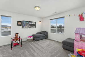 Sitting room with carpet flooring