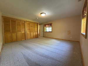 Large basement bedroom with multiple closets