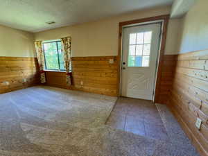 Basement entry featuring wooden walls, a wainscoted wall, carpet, and a textured ceiling