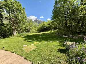 View of backyard featuring a mountain view