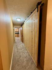 Hallway to basement kitchen